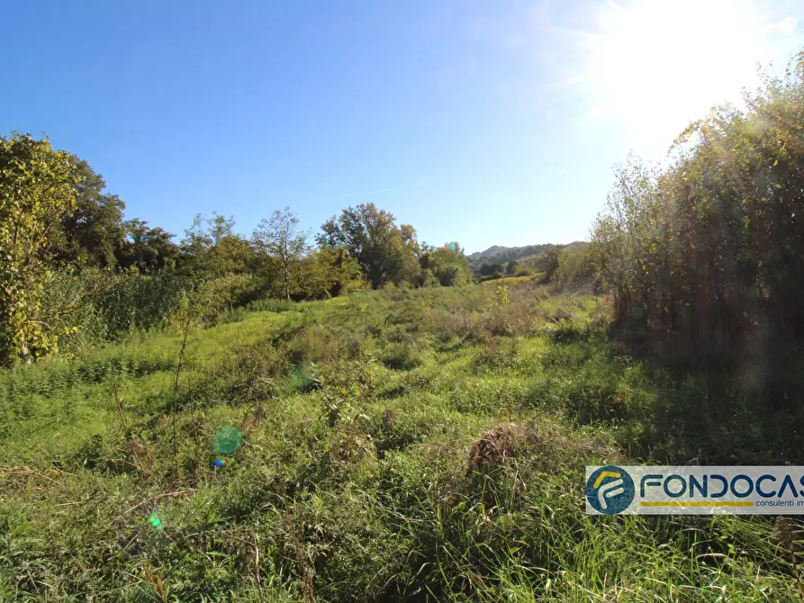 Immagine 42 di Villa in vendita  in Via Muraiola a Casciana Terme Lari