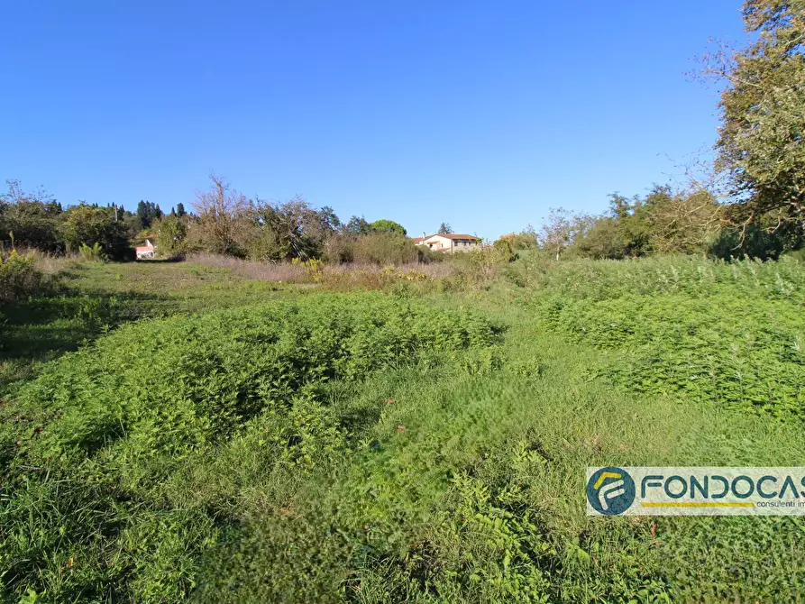 Immagine 49 di Villa in vendita  in Via Muraiola a Casciana Terme Lari