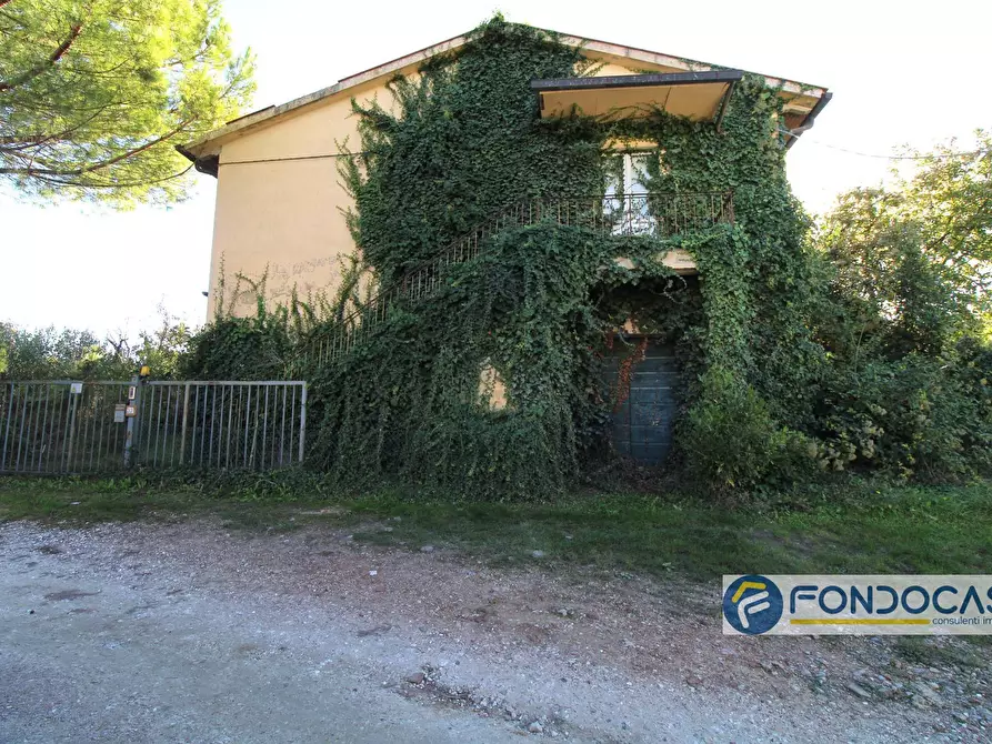 Immagine 50 di Villa in vendita  in Via Muraiola a Casciana Terme Lari