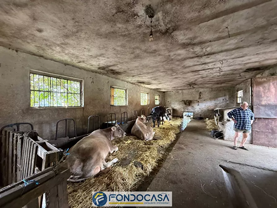 Immagine 9 di Rustico / casale in vendita  a Cazzago San Martino