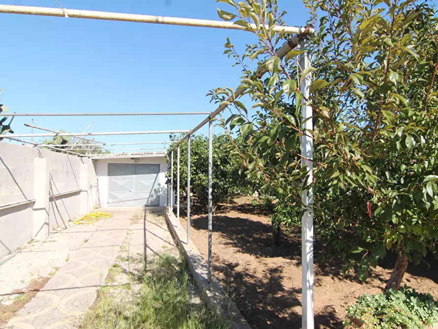 Immagine 17 di Villa in vendita  in litoranea Otranto a Otranto