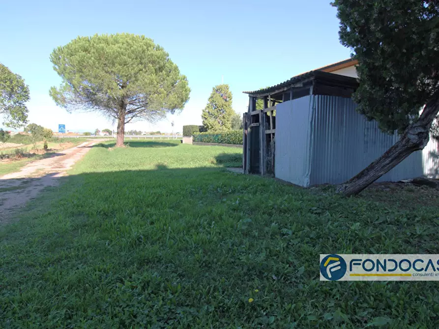 Immagine 12 di Casa semindipendente in vendita  in Via Delle Calende a Pontedera
