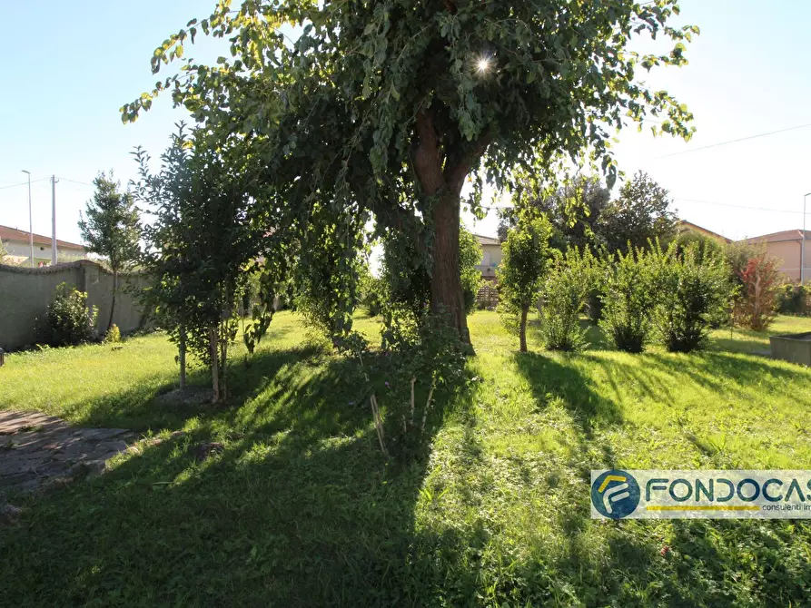 Immagine 8 di Casa semindipendente in vendita  in Via Delle Calende a Pontedera