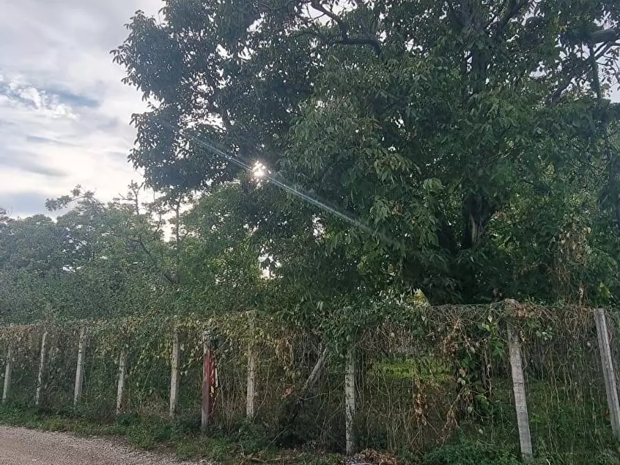 Immagine 2 di Appartamento in vendita  a Brusciano