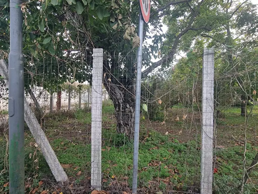 Immagine 4 di Appartamento in vendita  a Brusciano