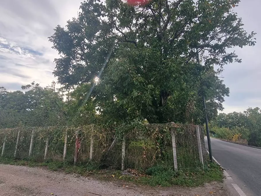 Immagine 1 di Appartamento in vendita  a Brusciano