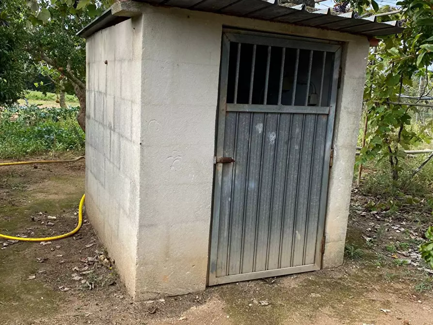 Immagine 20 di Villa in vendita  in litoranea Otranto a Otranto