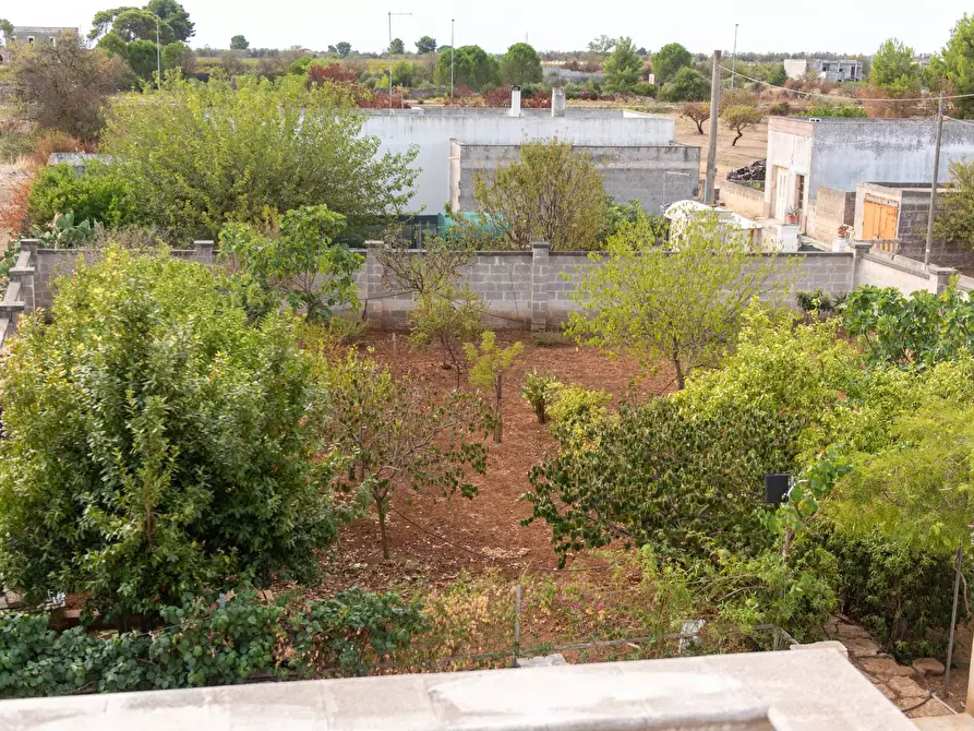 Immagine 31 di Villa in vendita  in b.croce 122 a Sava