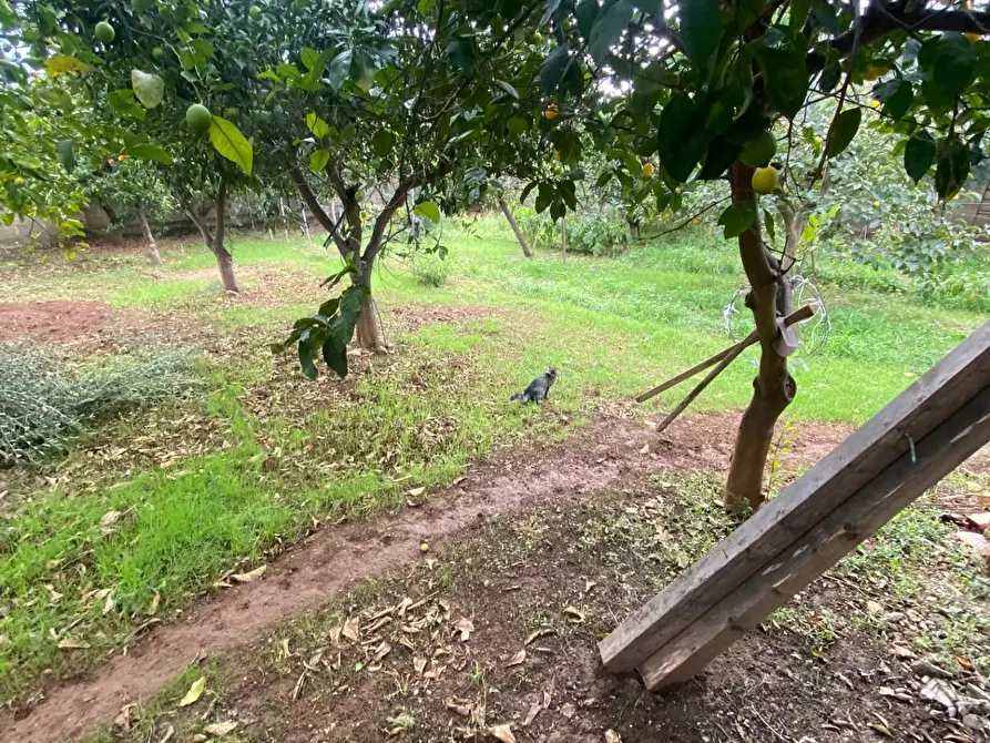 Immagine 10 di Appartamento in vendita  in VIA MANZONI a Avetrana