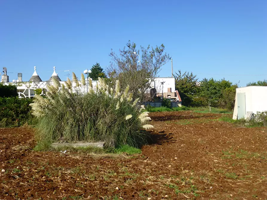 Immagine 11 di Villa in vendita  in via gianfeelice 52 a Martina Franca