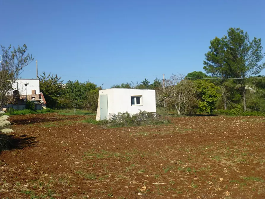 Immagine 12 di Villa in vendita  in via gianfeelice 52 a Martina Franca