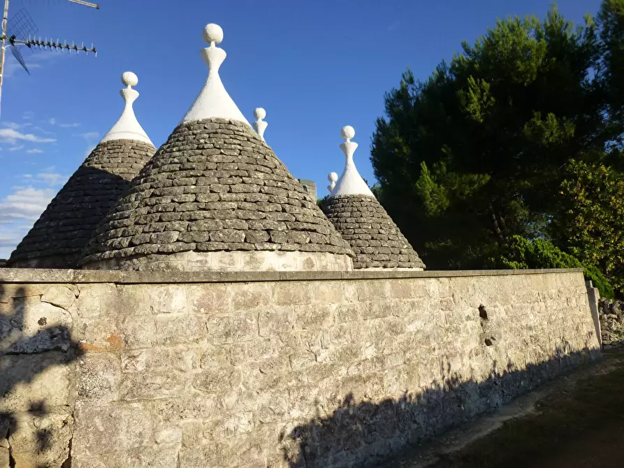 Immagine 14 di Villa in vendita  in via gianfeelice 52 a Martina Franca