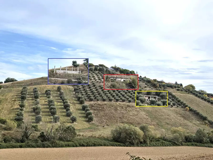 Immagine 3 di Terreno agricolo in vendita  in contrada montetinello a Monteprandone