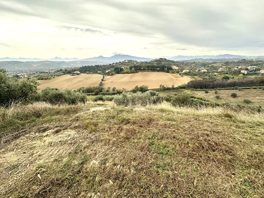 Immagine 9 di Terreno agricolo in vendita  in contrada montetinello a Monteprandone