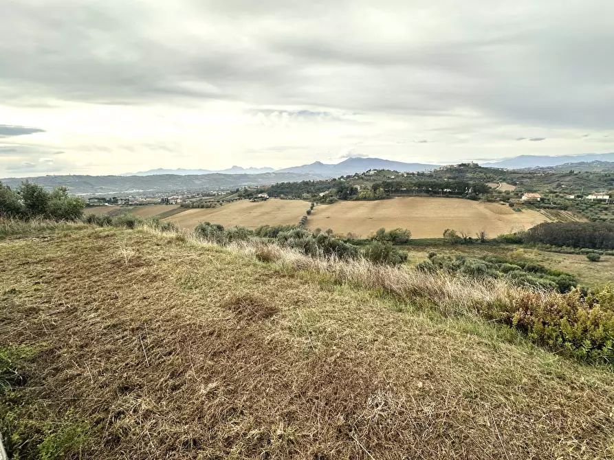 Immagine 10 di Terreno agricolo in vendita  in contrada montetinello a Monteprandone