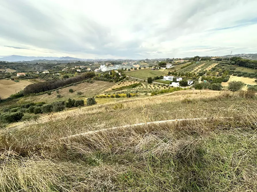 Immagine 11 di Terreno agricolo in vendita  in contrada montetinello a Monteprandone