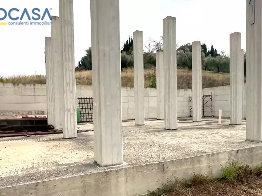 Immagine 2 di Terreno agricolo in vendita  in contrada montetinello a Monteprandone