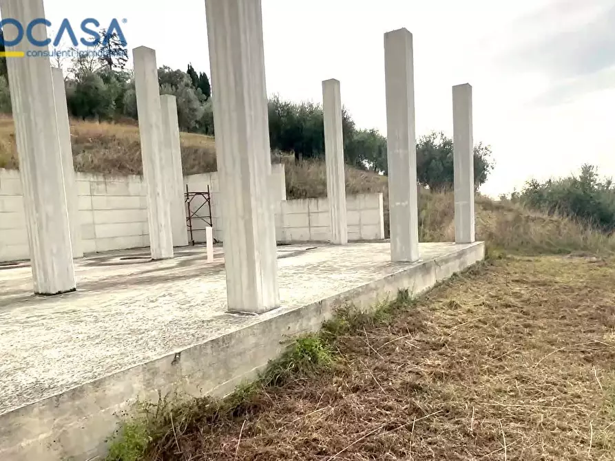 Immagine 4 di Terreno agricolo in vendita  in contrada montetinello a Monteprandone