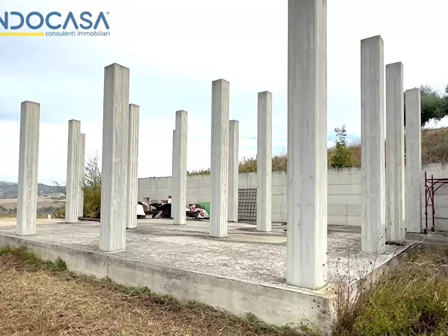 Immagine 8 di Terreno agricolo in vendita  in contrada montetinello a Monteprandone