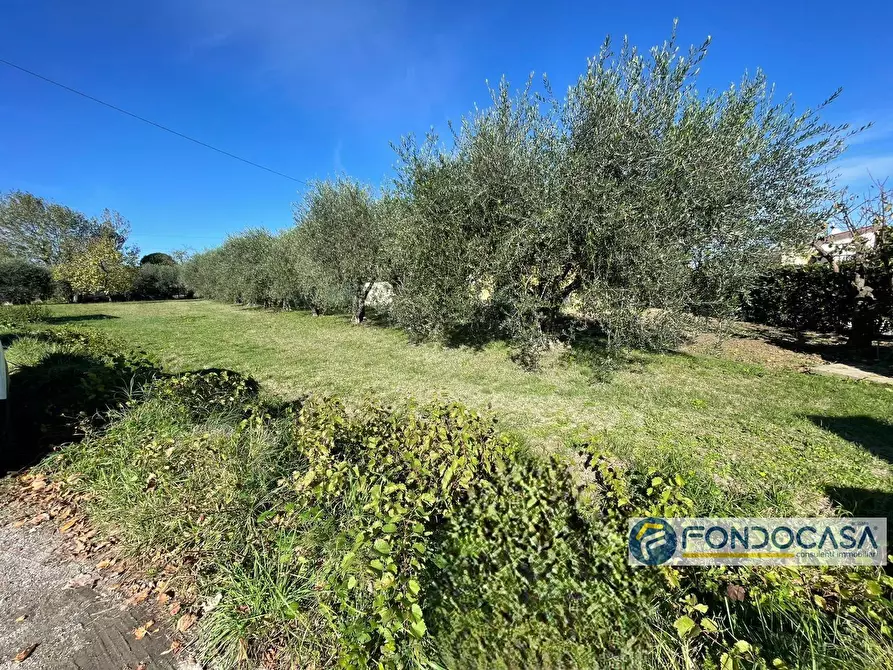 Immagine 2 di Terreno agricolo in vendita  in Via Del Battaglione a Calcinaia