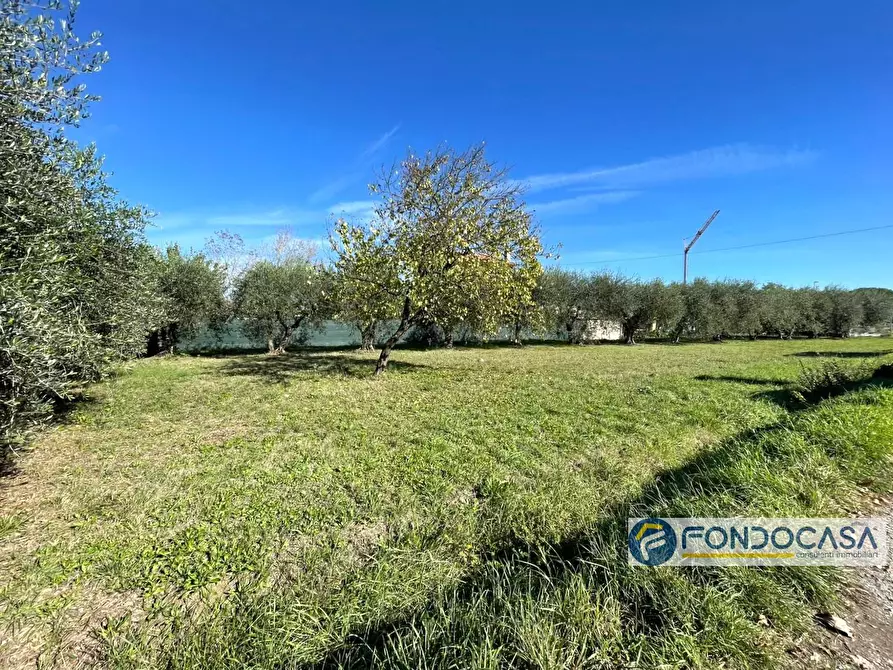 Immagine 3 di Terreno agricolo in vendita  in Via Del Battaglione a Calcinaia