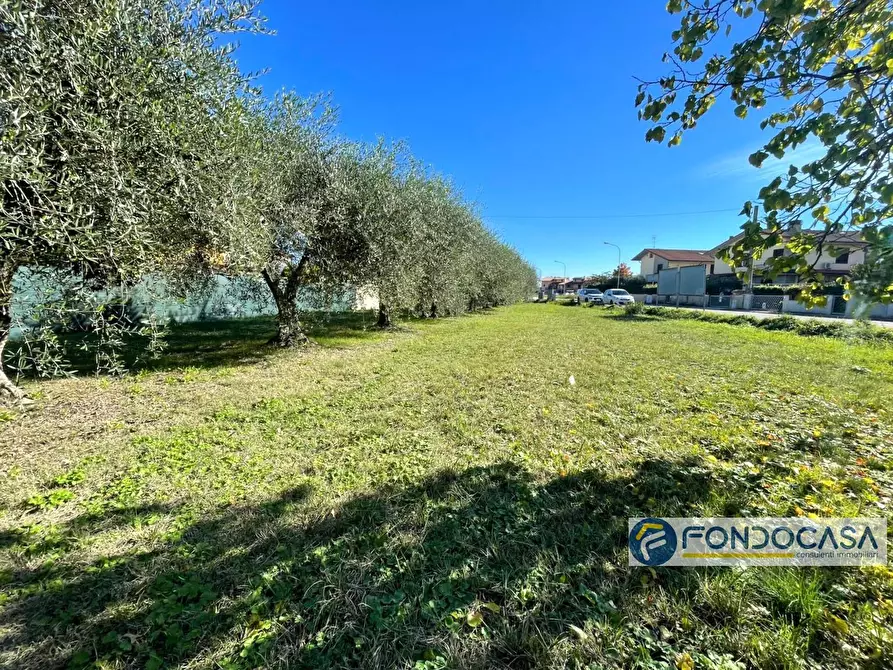 Immagine 7 di Terreno agricolo in vendita  in Via Del Battaglione a Calcinaia