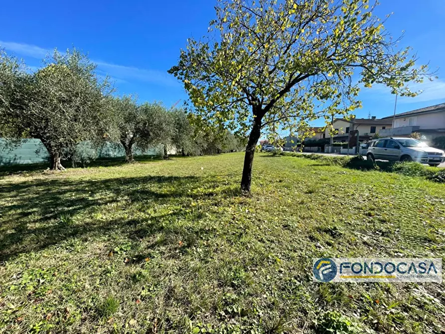 Immagine 5 di Terreno agricolo in vendita  in Via Del Battaglione a Calcinaia