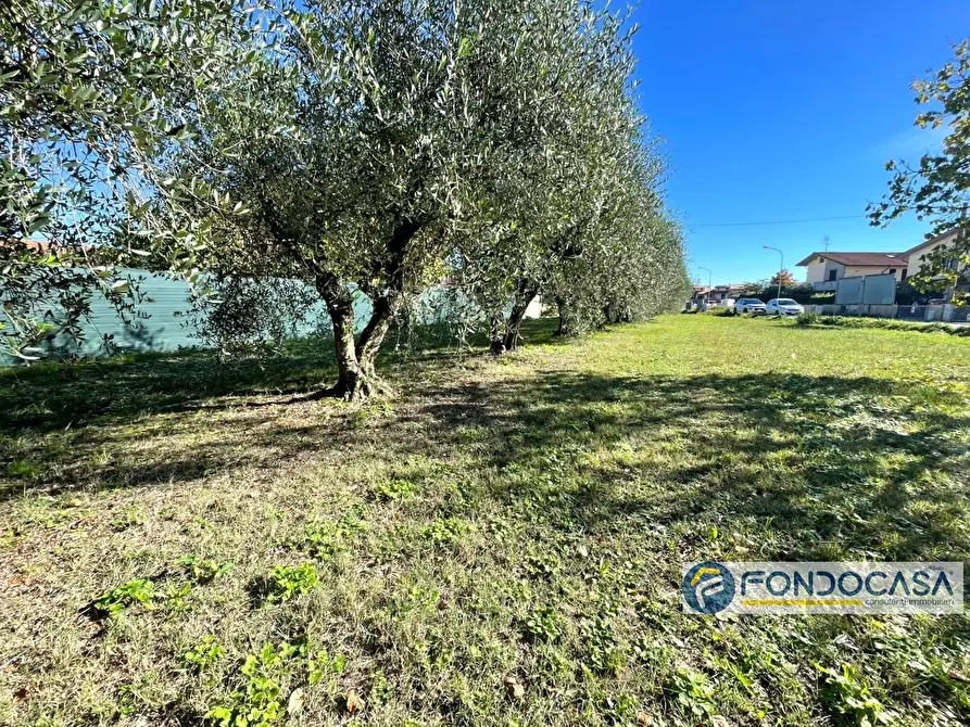 Immagine 8 di Terreno agricolo in vendita  in Via Del Battaglione a Calcinaia