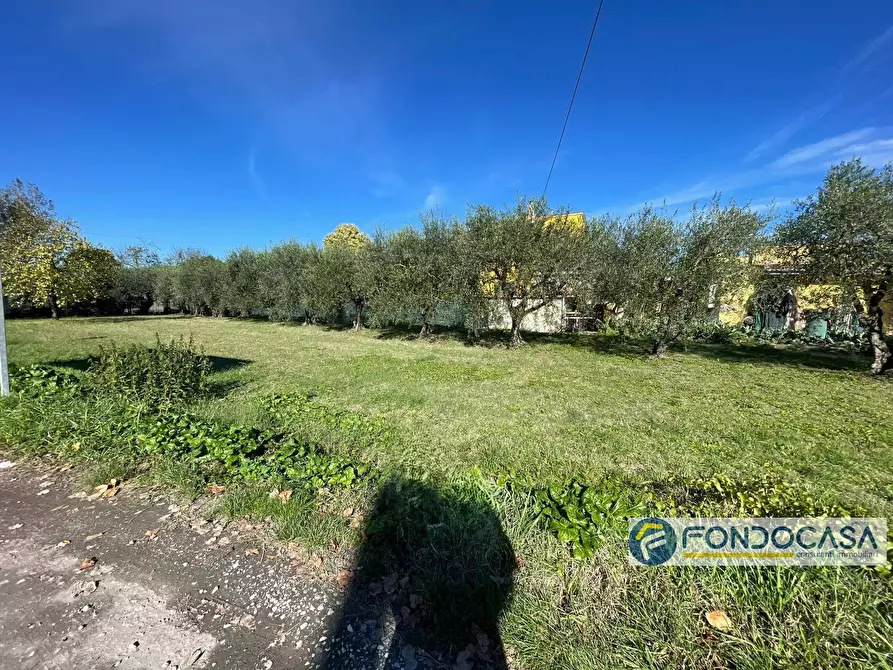 Immagine 9 di Terreno agricolo in vendita  in Via Del Battaglione a Calcinaia