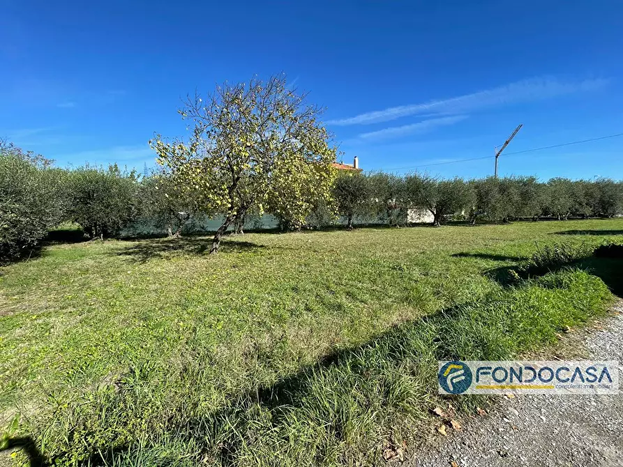 Immagine 10 di Terreno agricolo in vendita  in Via Del Battaglione a Calcinaia
