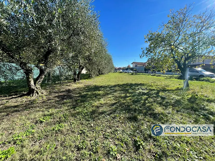 Immagine 11 di Terreno agricolo in vendita  in Via Del Battaglione a Calcinaia