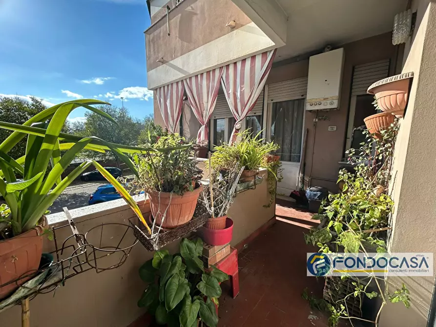 Immagine 37 di Appartamento in vendita  in Via Vittorio Veneto a Pontedera