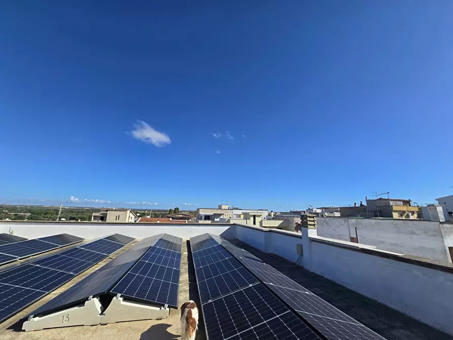 Immagine 4 di Villa in vendita  in via marche 24 a Avetrana