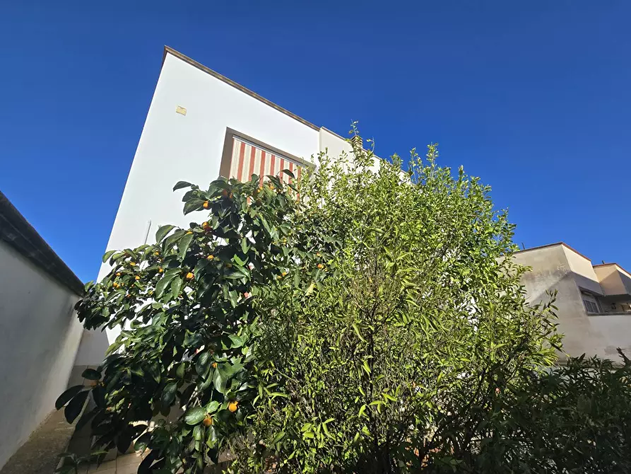 Immagine 16 di Villa in vendita  in via marche 24 a Avetrana