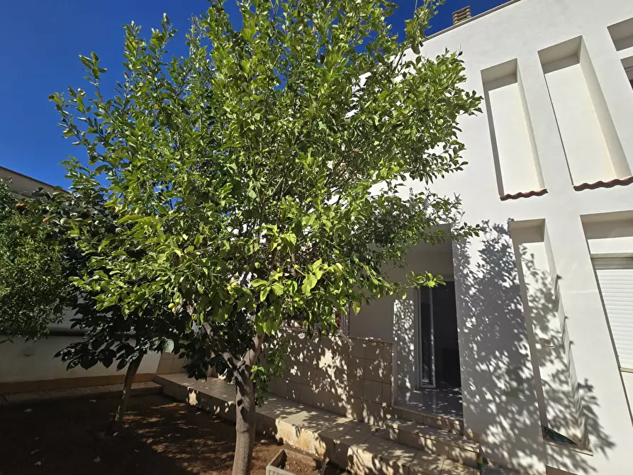 Immagine 19 di Villa in vendita  in via marche 24 a Avetrana