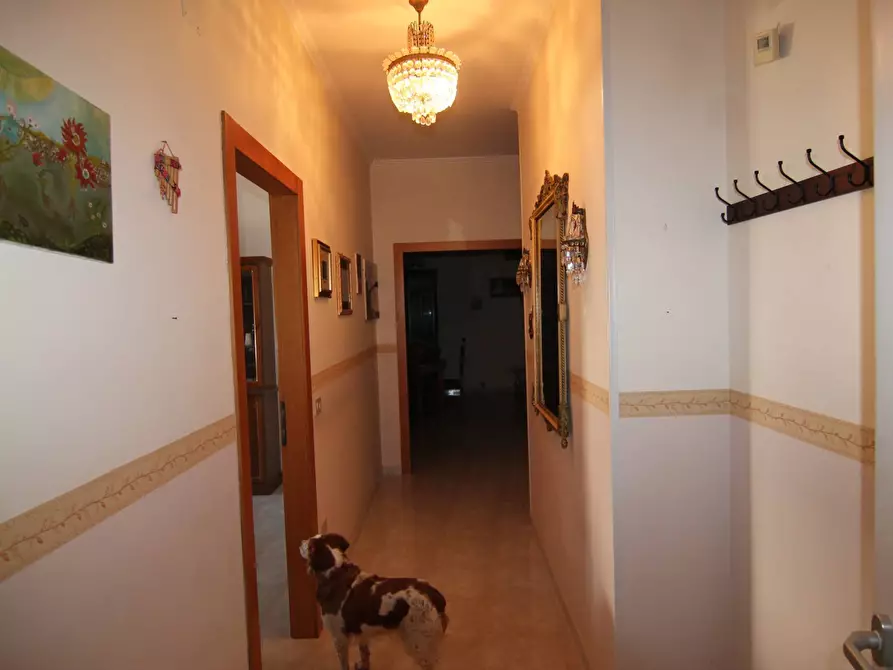 Immagine 54 di Villa in vendita  in via marche 24 a Avetrana