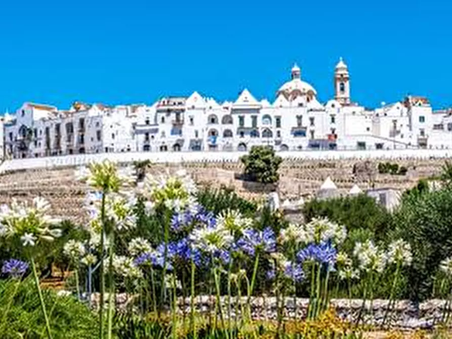 Immagine 4 di Terreno residenziale in vendita  in VIA PARETONE MASSERIE CASEDDE VECCHIE a Martina Franca