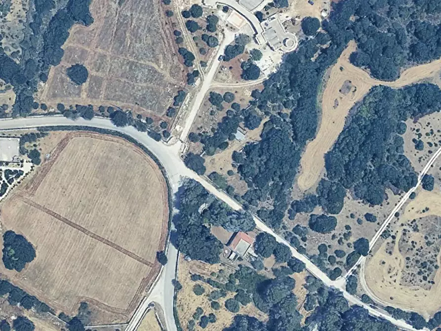 Immagine 5 di Terreno residenziale in vendita  in VIA PARETONE MASSERIE CASEDDE VECCHIE a Martina Franca