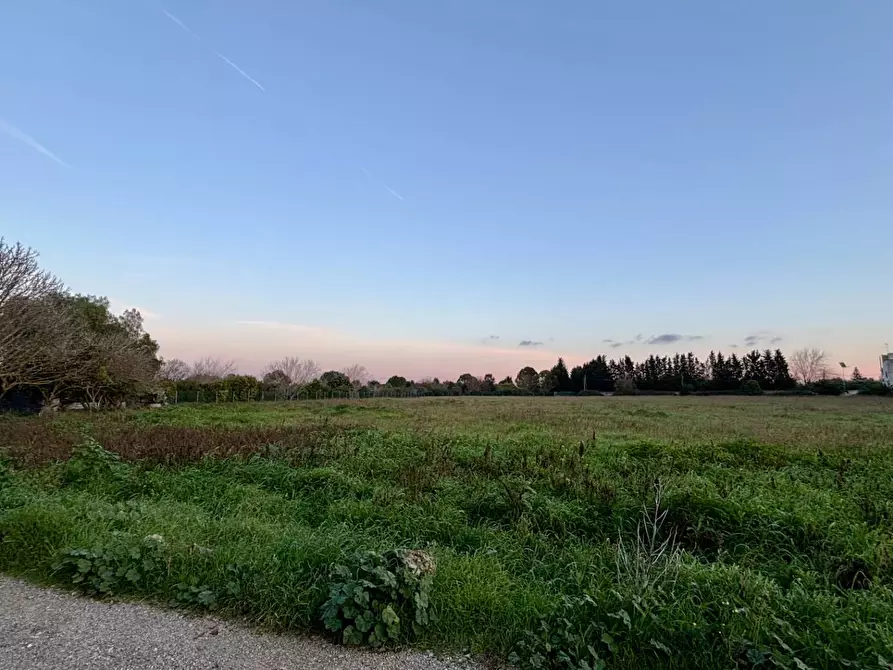 Immagine 7 di Appartamento in vendita  in Via Alessandro Volta SNC a Arnesano