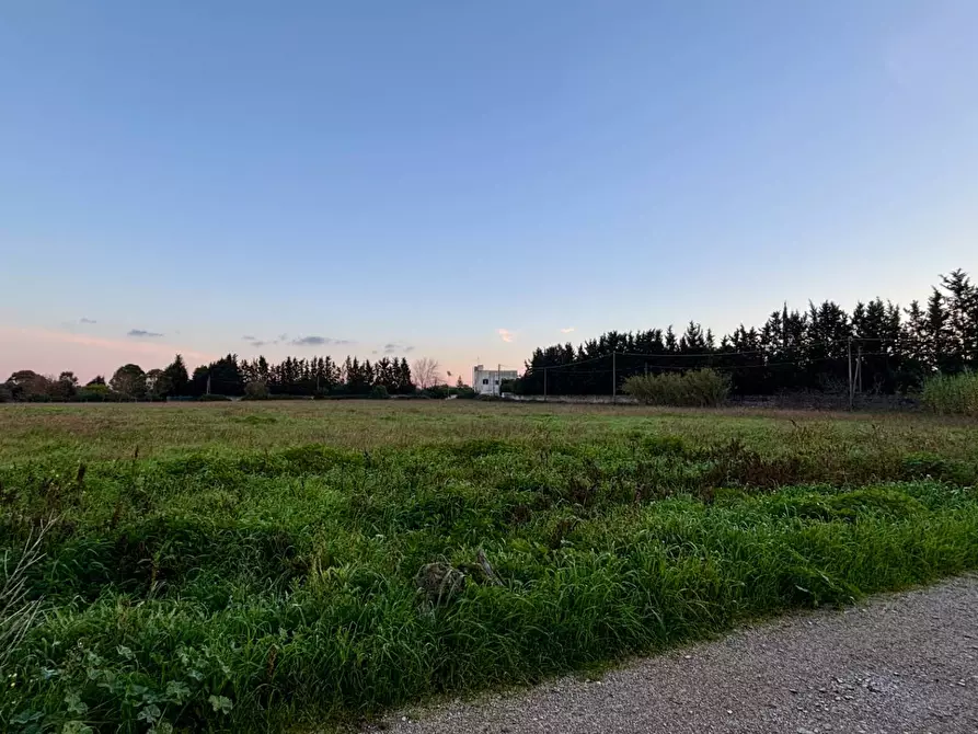 Immagine 8 di Appartamento in vendita  in Via Alessandro Volta SNC a Arnesano