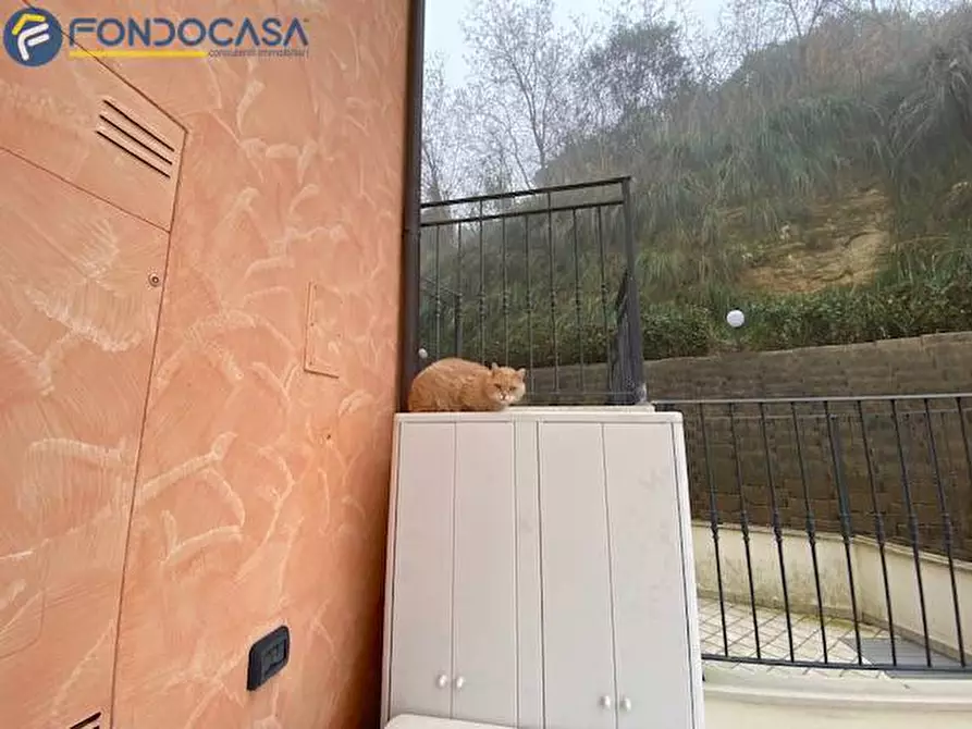 Immagine 31 di Appartamento in vendita  in VIA TOSCANA a Cupra Marittima