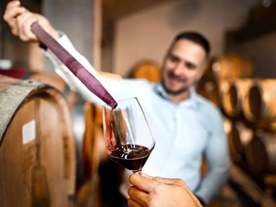 Immagine 7 di Attività commerciale in vendita  a Ravenna