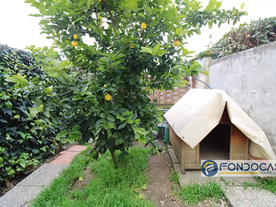 Immagine 3 di Appartamento in vendita  in Vicolo Dei Conti a Pontedera