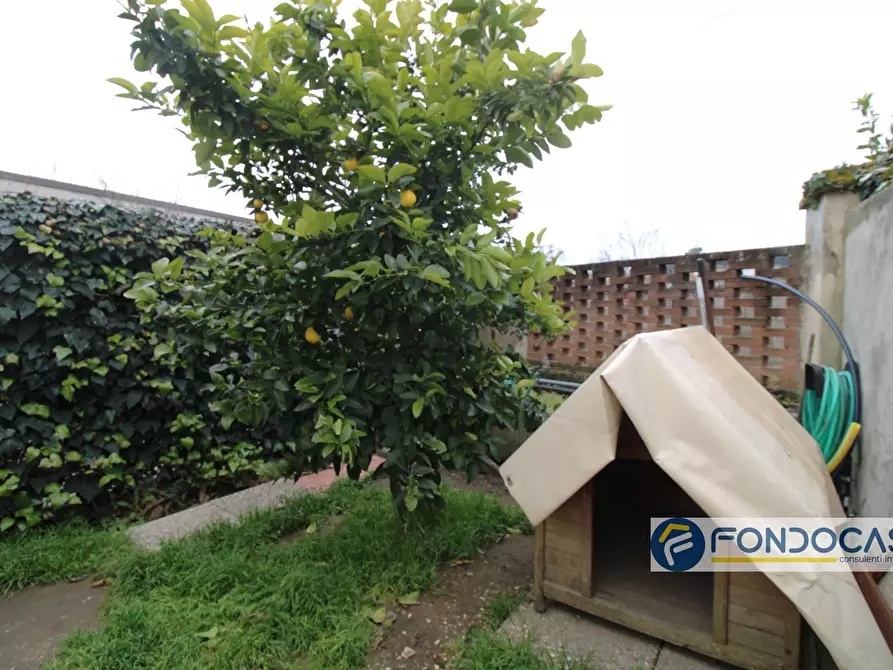 Immagine 4 di Appartamento in vendita  in Vicolo Dei Conti a Pontedera