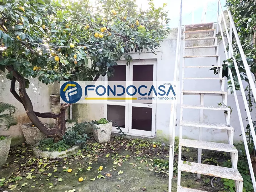 Immagine 22 di Casa indipendente in vendita  in via antonio profilo fu giovanni 6 a Mesagne