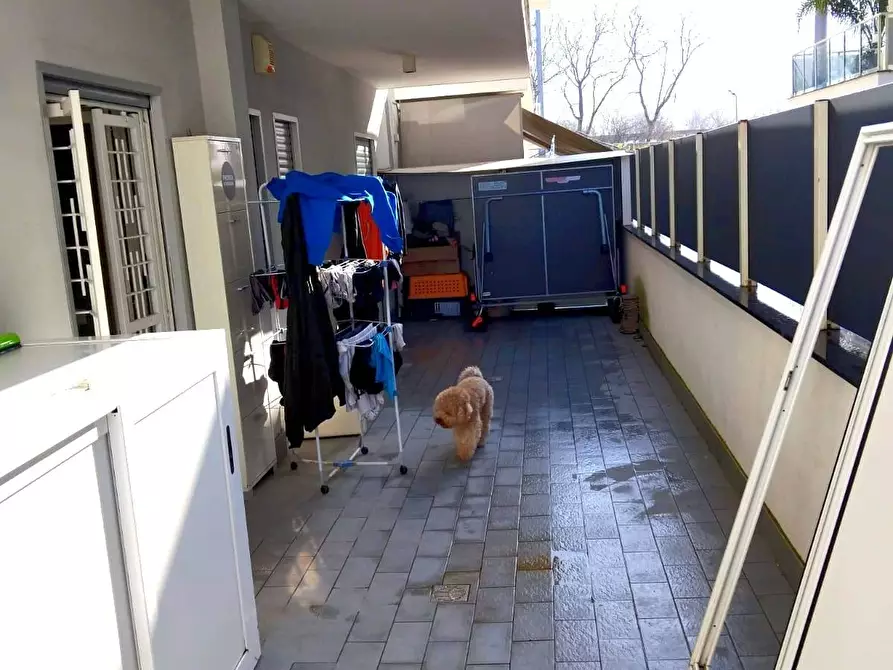 Immagine 13 di Appartamento in vendita  a Camposano