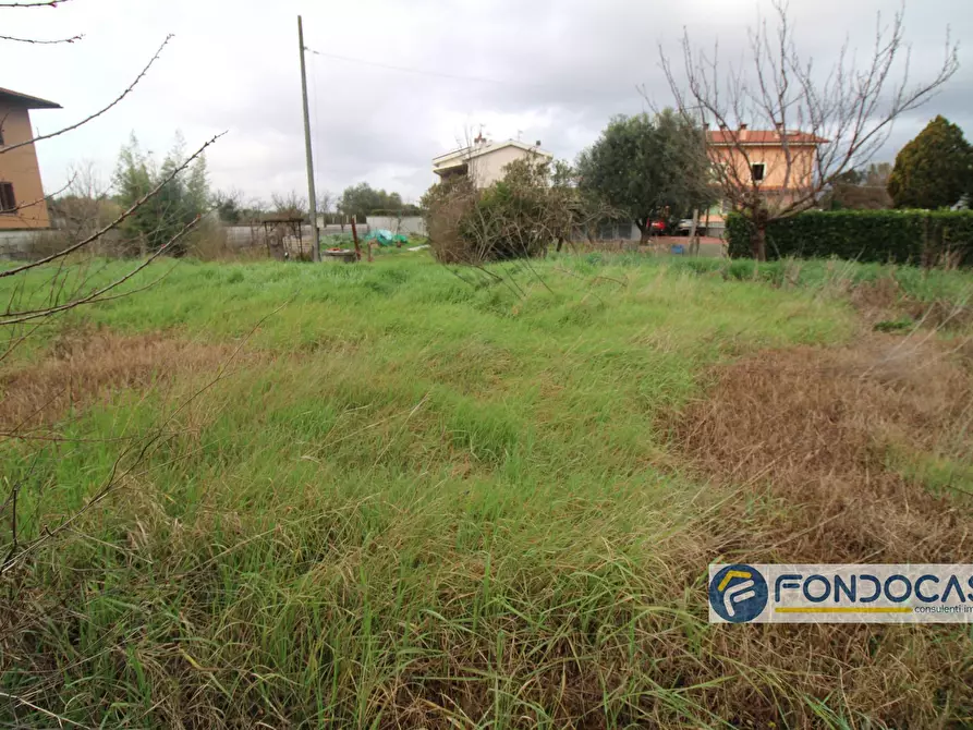 Immagine 3 di Terreno residenziale in vendita  in Via Del Popolo a Pontedera