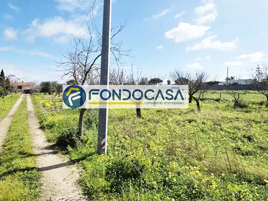 Immagine 3 di Villa in vendita  in strada per caputi 66 a Brindisi