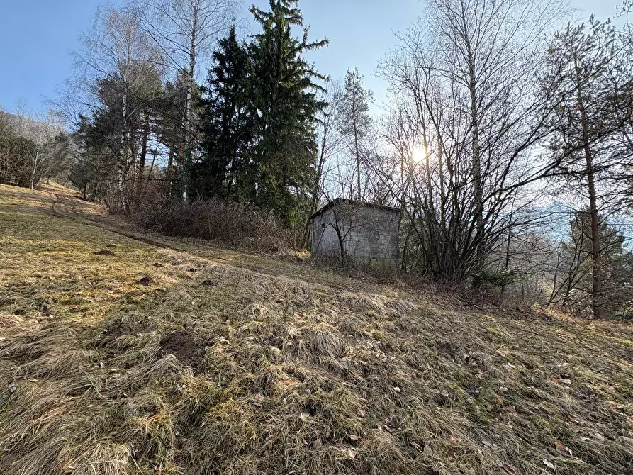 Immagine 19 di Casa indipendente in vendita  in via Vago sn a Ardesio