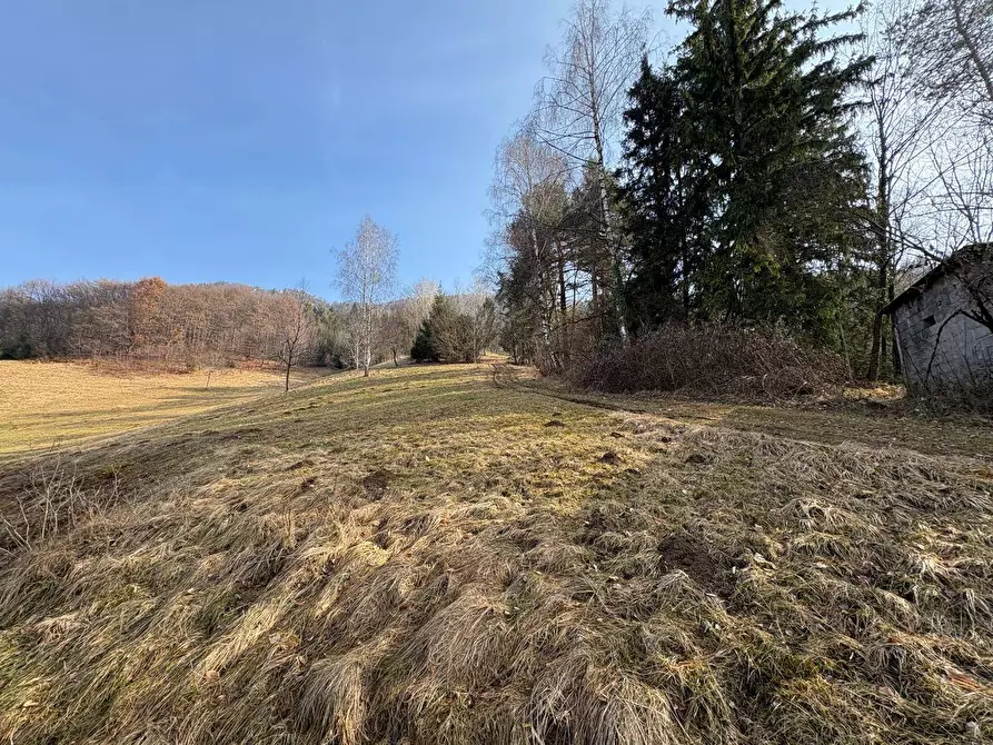 Immagine 21 di Casa indipendente in vendita  in via Vago sn a Ardesio